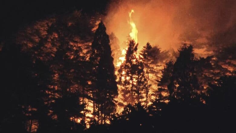 2カ所で山林火災が延焼　住宅全焼1棟・半焼1棟、900世帯に避難指示　岩手・大槌町｜FNNプライムオンライン