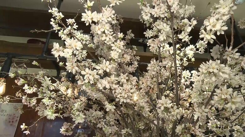 花見に行けない人に桜を届ける「生きる力に」　桜の街で寄付金付きディナーを企画【岩手発】｜FNNプライムオンライン