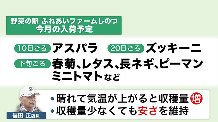 「野菜の駅ふれあいファームしのつ」5月の入荷予定