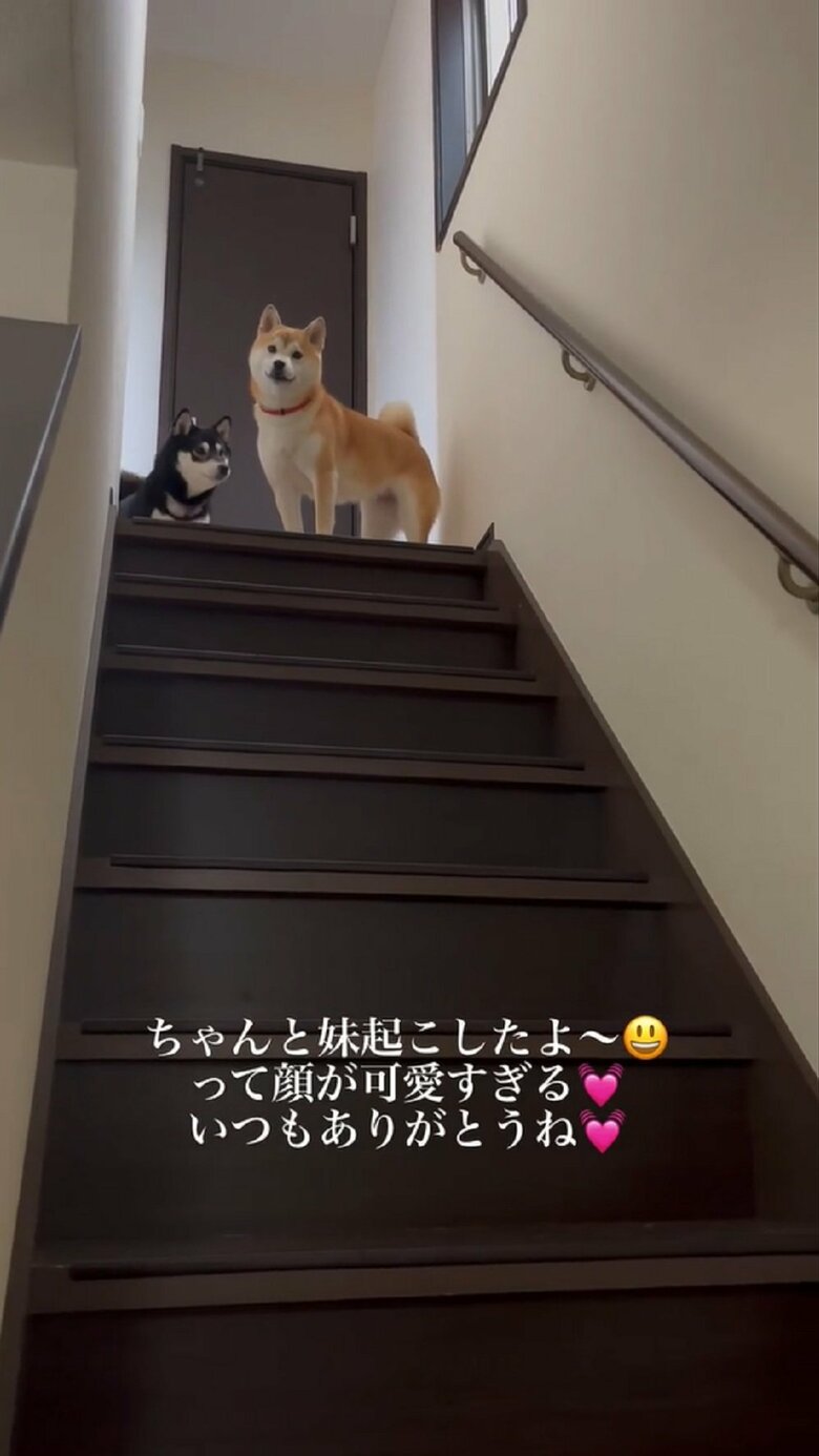 豆ちゃんは誇らしげな表情を見せている