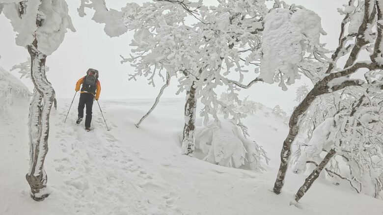木々には霧氷がびっしり