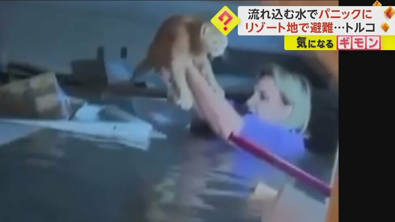 ネコを出来るだけ上に掲げ、救出した女性