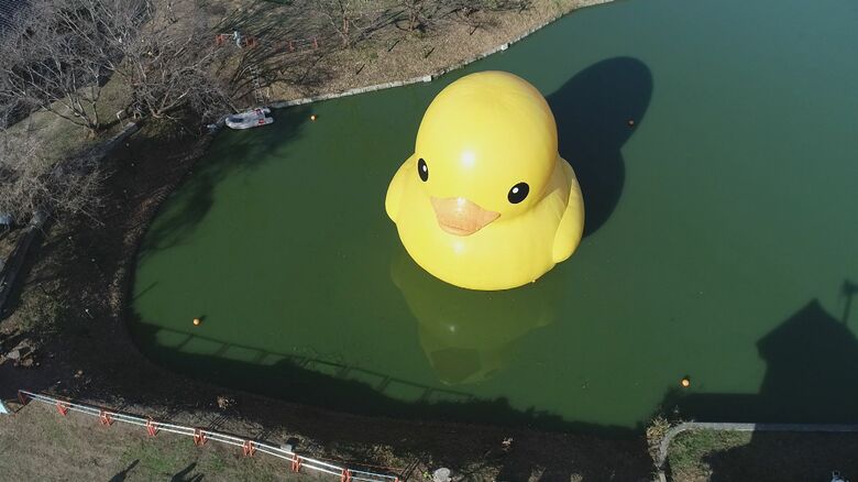 国東市のため池に設置された「ラバーダック」