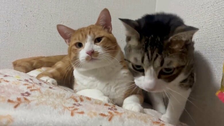 そっと離れていってしまうことも