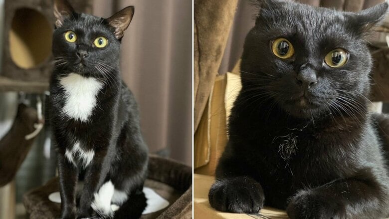 性格が表れた1枚。写真撮影するとハルくんはキリッ、ソウくんはビクッとするという