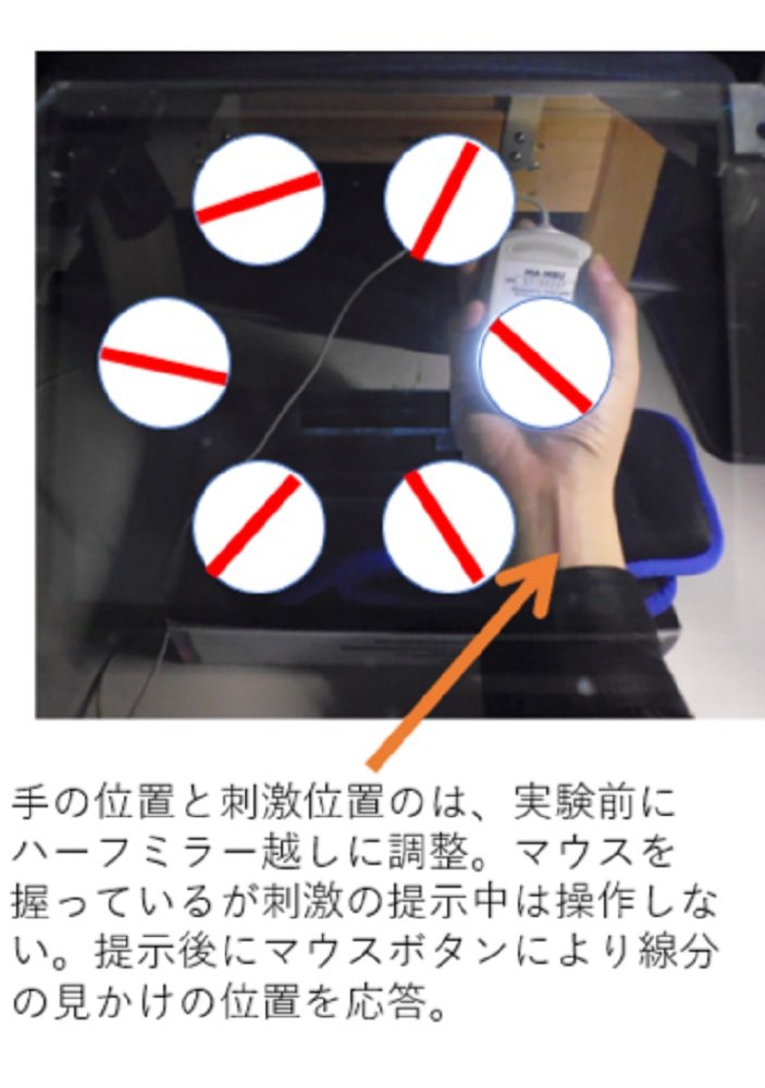 実験の様子（画像提供：東北大学電気通信研究所　塩入諭教授）