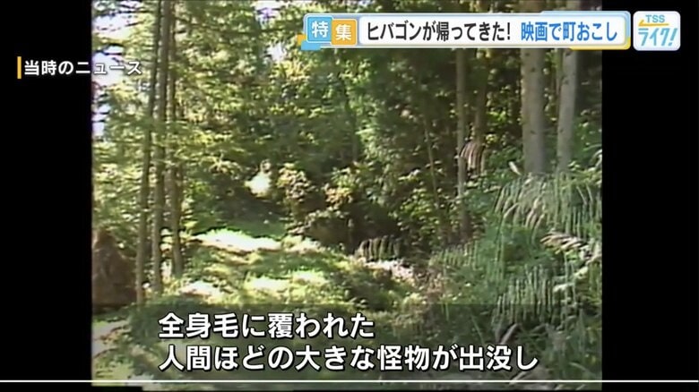 目撃情報があった場所を映す当時のニュース