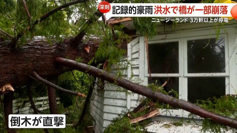 倒木が屋根を突き破り、被害は室内にも及んでいた