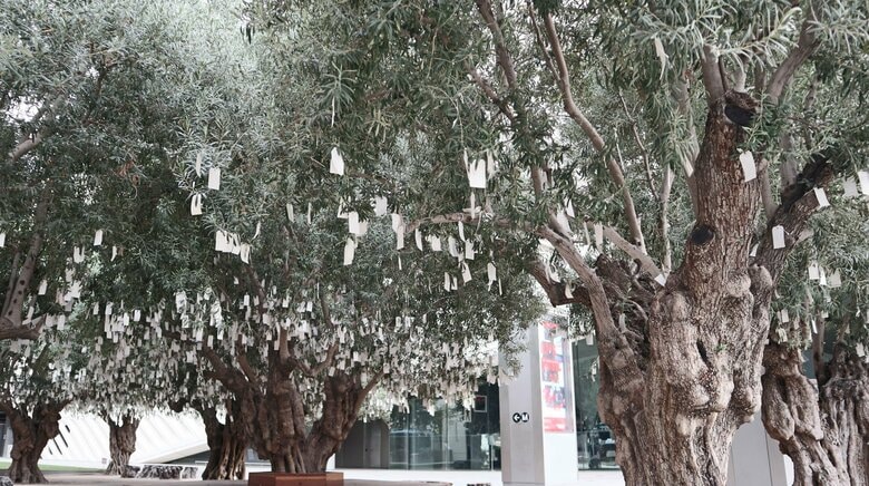 Wish Tree