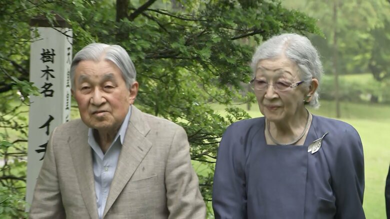 思い出の「イチイ」の木をご覧に　5月27日