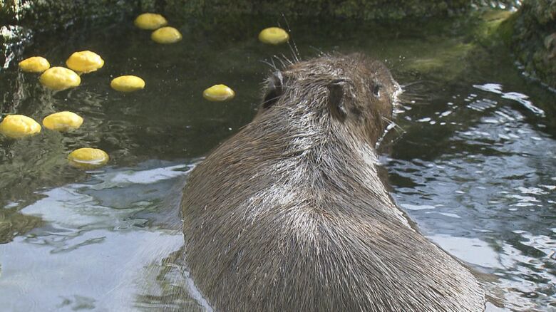 2時間ほど長湯していた