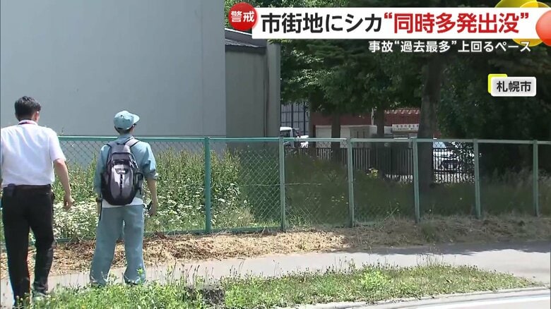 実に9時間以上も居座り続けていたシカ