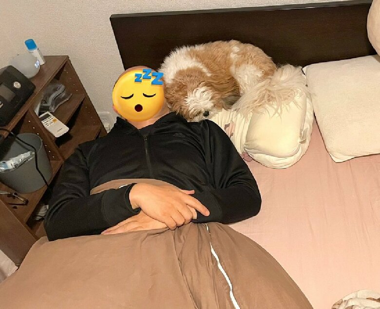 パパさんの枕を奪う