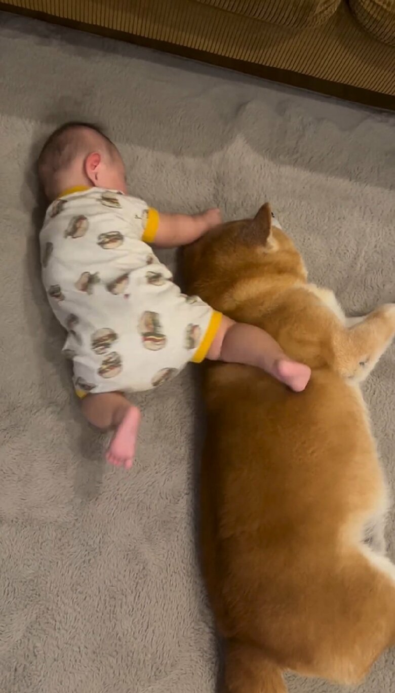 べりやんくんに足がヒット！まるで蹴っているかのよう