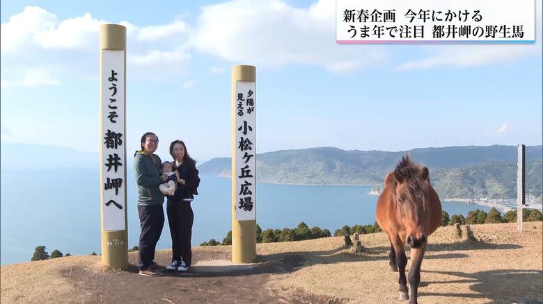 写真撮影に馬が入り込む