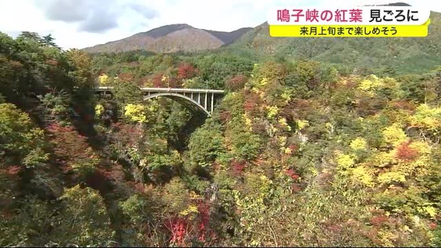鳴子峡の紅葉 見ごろに 11月上旬まで楽しめそう〈宮城〉