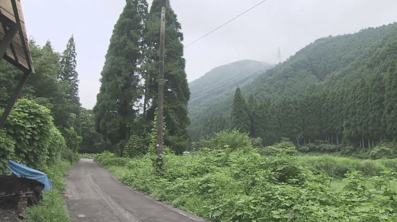 クマが出没した周辺