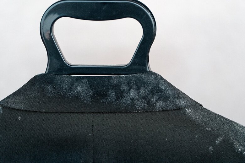 カビが見えるとかなり繁殖が進んでいる（画像はイメージ）