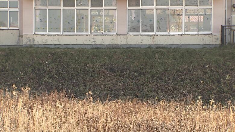 クマ対策で草刈りが行われた場所