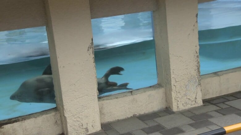 心と身体のケアのための距離だという