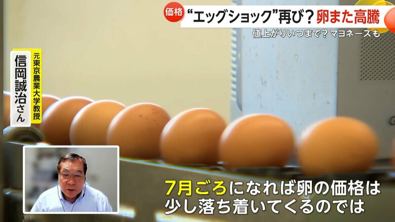 「7月頃には価格は落ち着く」と話す元東京農業大学教授・信岡誠治さん
