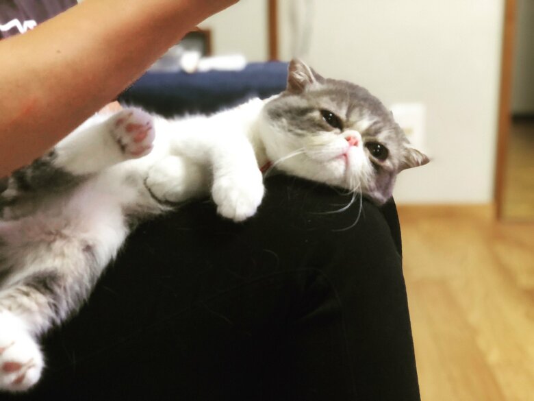 リラックスモードな時も多い