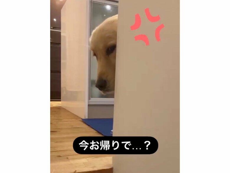 提供：エマさん