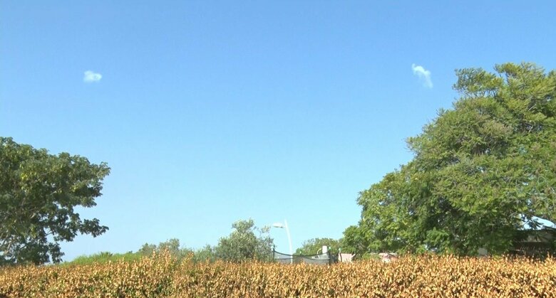 「アイアンドーム」迎撃後、空には白い煙