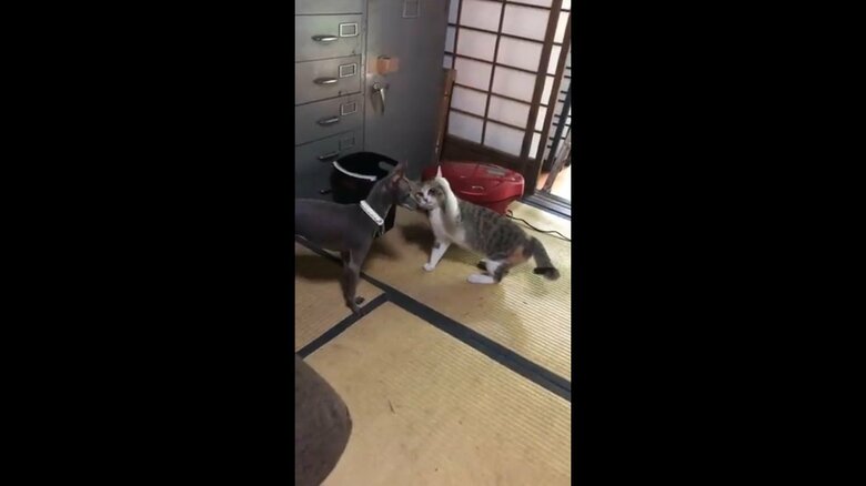 初めって会った時の様子