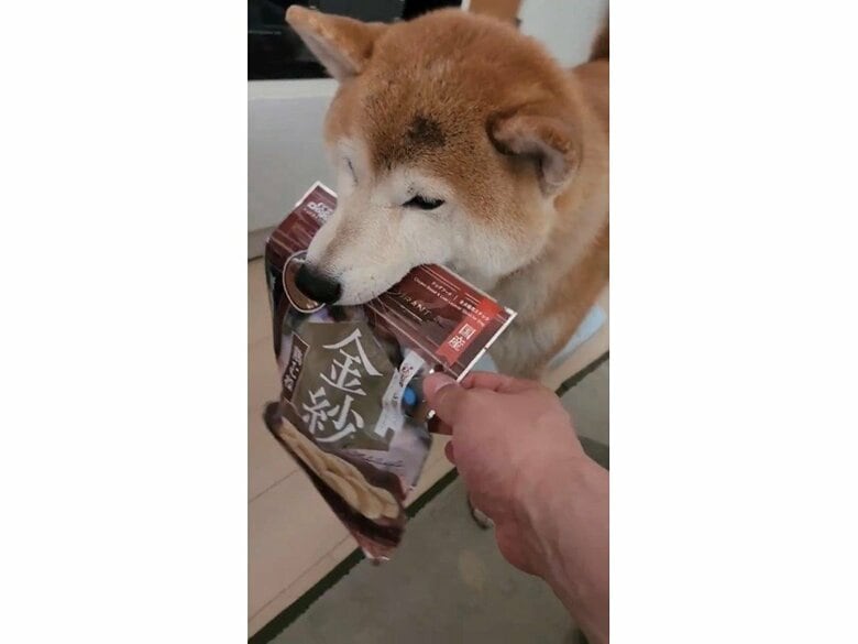 おねだり成功
