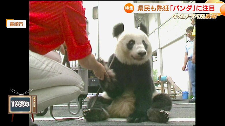 サーカス公演のため長崎入りしたチャオチャオ