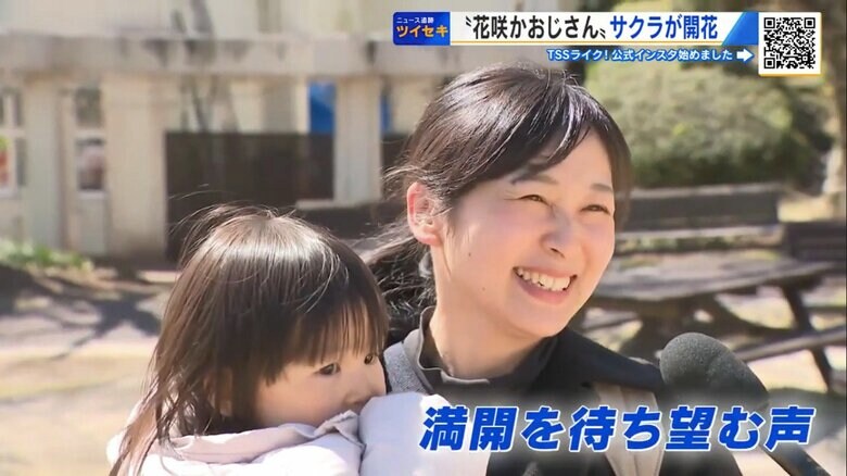 来園者からも満開を待ち望む声