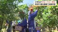 摘みたて「ブルーベリー」に笑顔　児童が収穫体験　自然環境についても学ぶ（島根・浜田市）