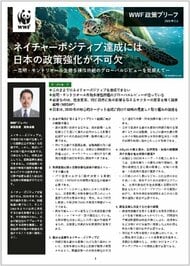 このままではネイチャーポジティブを達成できない　―WWFが生物多様性国家戦略の強化を訴え―