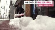 中通り中心に春の大雪　福島県内の約5300軒で停電発生　東北新幹線が一時運転見合わせ　交通網に乱れ