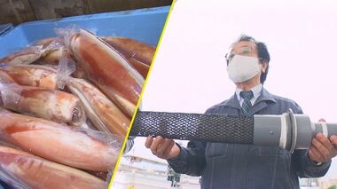 ソデイカ漁に“軽石”影響の影も…エンジンの「こし器」に工夫 海人魂で打開策を講じる漁師たち【沖縄発】