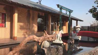 ガラスの鳥居に「えんむすびの大石」!何を撮ってもインスタ映えする神社!