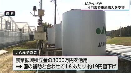 旬のマンゴー・新茶の季節を前に　JAみやざきが農家向けに重油代を支援