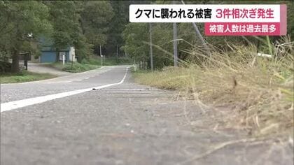 福島・会津地方で熊に襲われ男性3人がケガ　未明から早朝にかけ被害相次ぐ　喜多方市山都町では路上で発見