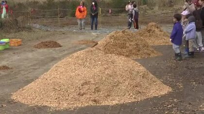 被災木のチップ敷き詰める催し　4月に山林火災発生の大槌町　岩手県