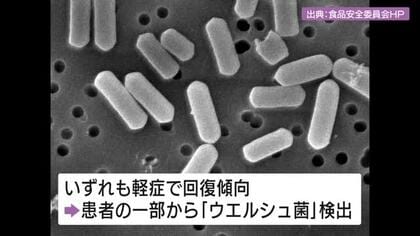 「ウエルシュ菌」で集団食中毒　９７人に下痢や腹痛の症状　広島・福山市の宿泊施設