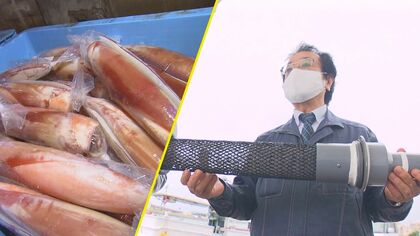 ソデイカ漁に“軽石”影響の影も…エンジンの「こし器」に工夫　海人魂で打開策を講じる漁師たち【沖縄発】