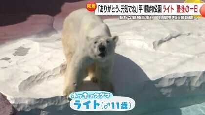 「ありがとー！」「北海道でも頑張って！」鹿児島・平川動物公園の人気者ホッキョクグマ・ライト　繁殖目指し札幌市円山動物園へ 【鹿児島発】