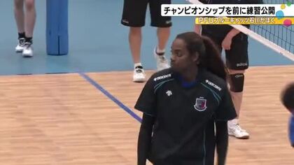 チャンピオンシップ初戦へ…ブルーキャッツが前日練習を公開 細沼綾主将「ワクワクや楽しみの方が大きい」