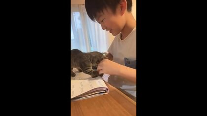 これが一番宿題が捗る構図？勉強するお兄ちゃんにちょっかいを出し続ける保護猫が可愛い…“ふたり”の関係性を聞いた