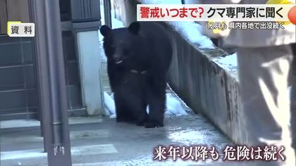 【専門家に聞く】クマ警戒いつまで？　エサ尽きるまで出没・2～3年に一度は市街地出没の可能性も　山形