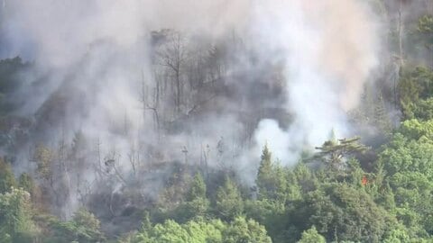 福山で山火事　延焼続く【17日午後7時現在】