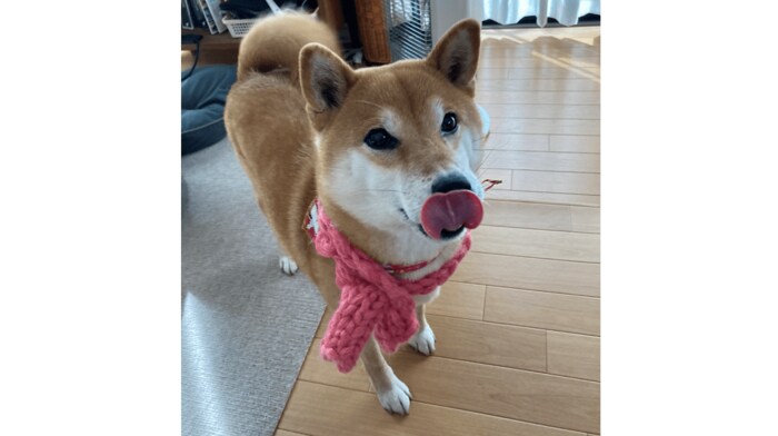 笑っていない時のすずちゃん