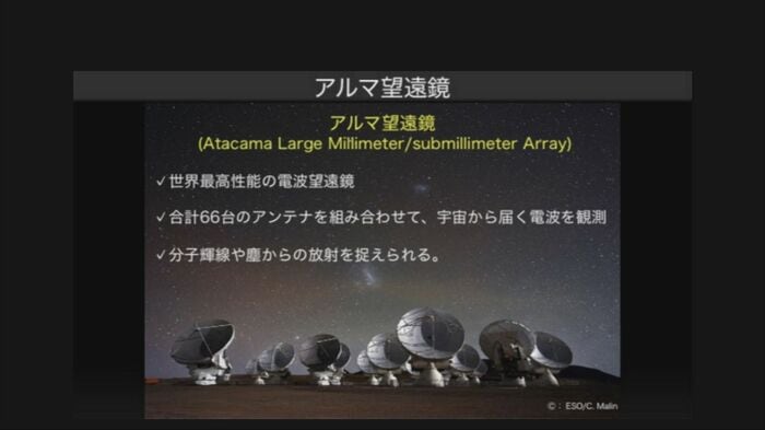 提供:池田達紀さん(新潟大学)