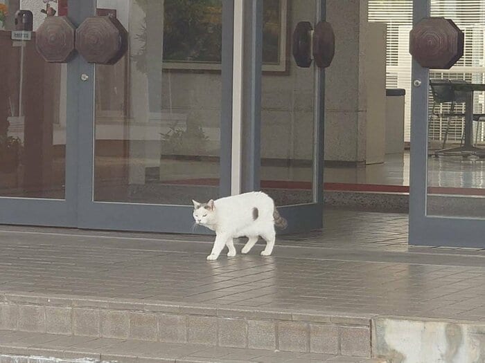 玄関付近をウロウロ…